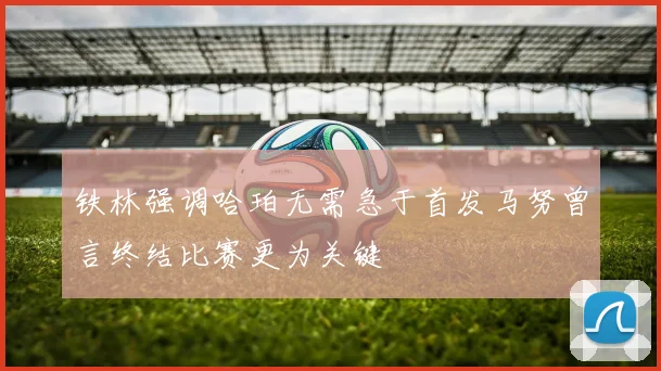 铁林强调哈珀无需急于首发马努曾言终结比赛更为关键